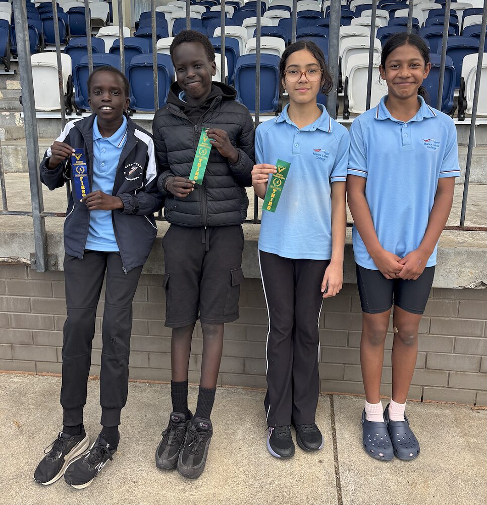 wordpress-postyyWno0